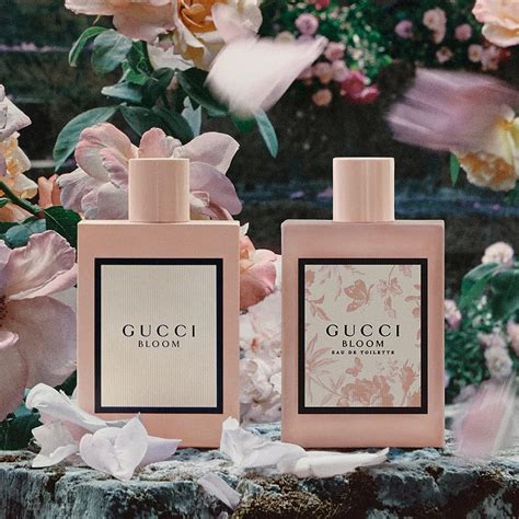 matas gucci parfume|gucci eau de parfum.